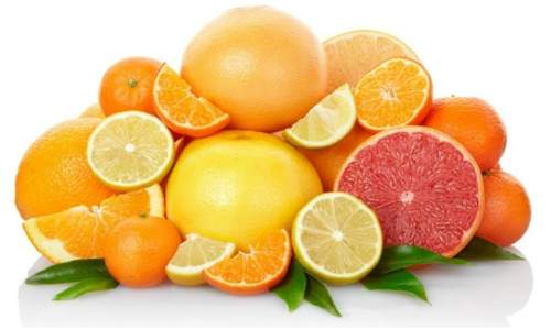 Como fazer repelente caseiro para cães - frutas citricas